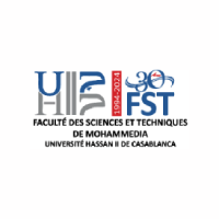 FSTM - logo